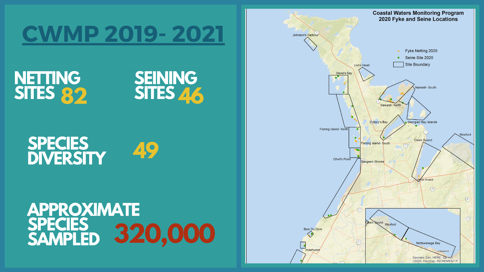 Infographic showing caught fish numbers